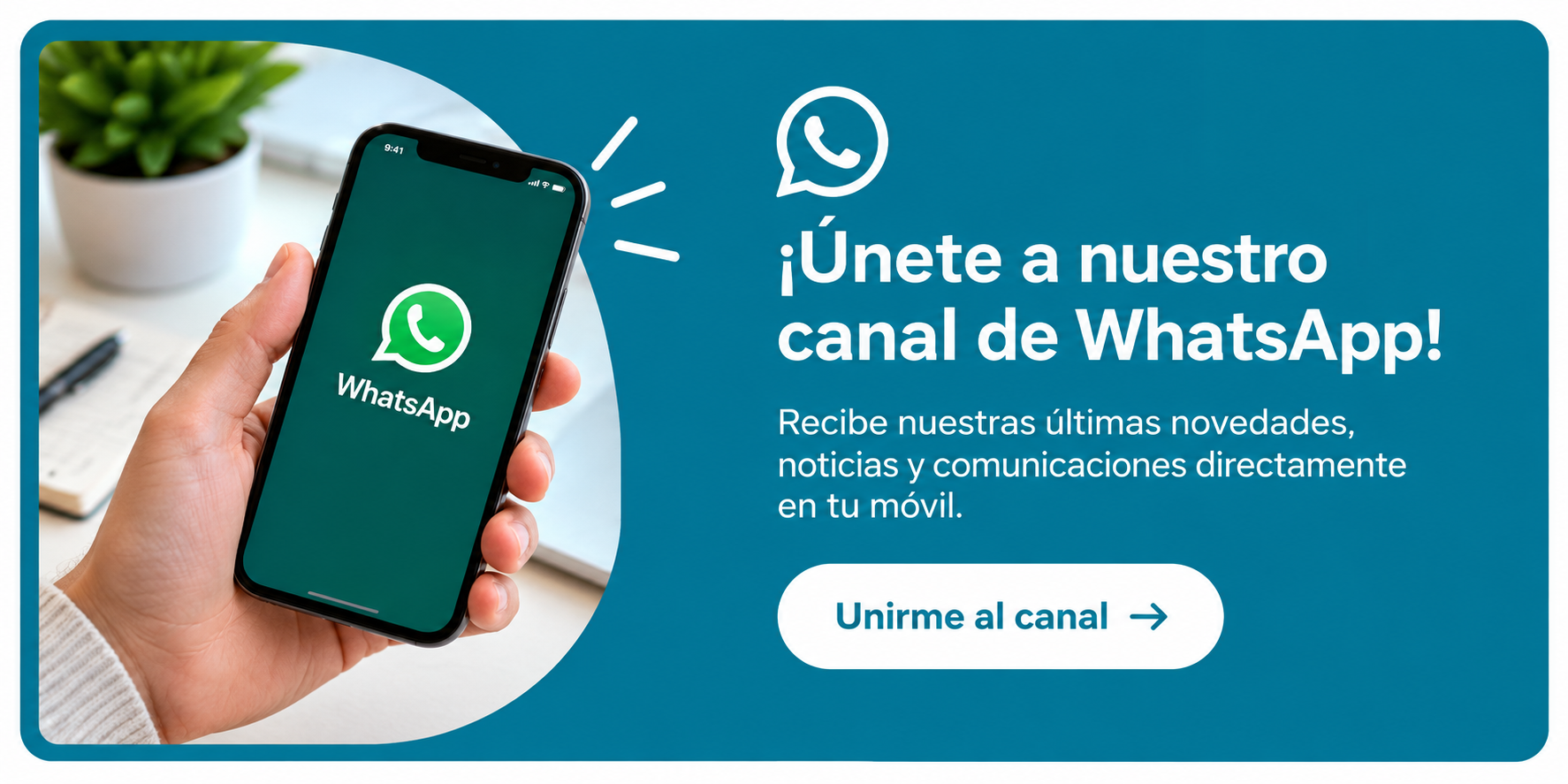 banner grupo whatsaapp